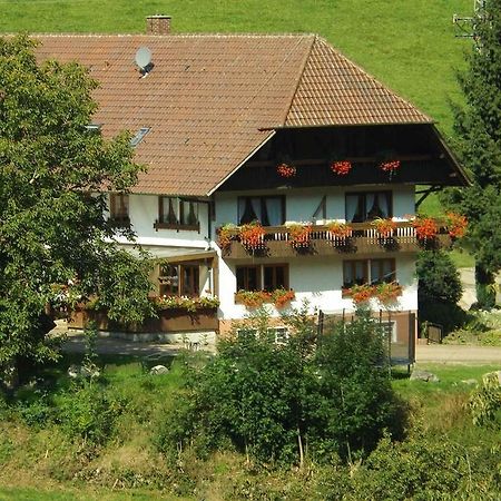 Appartement Schusselehof à Oberprechtal Extérieur photo
