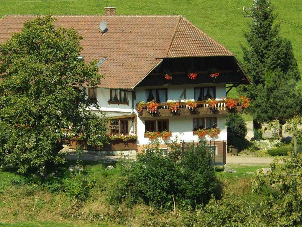 Appartement Schusselehof à Oberprechtal Extérieur photo